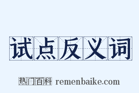 试点反义词是什么意思的图片